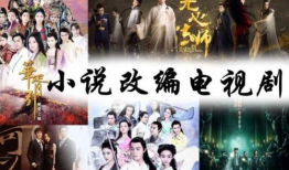 电视剧改编小说,电视剧改编小说背后的精彩故事