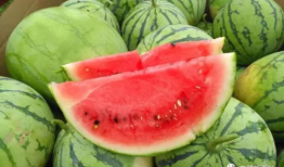 今日吃瓜爆料有哪些,娱乐圈最新热点大揭秘